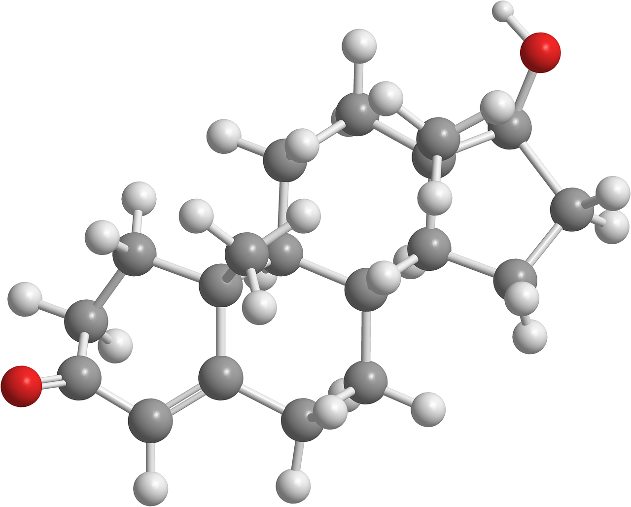 testosterone, organic chemistry, hormones, oxytocin