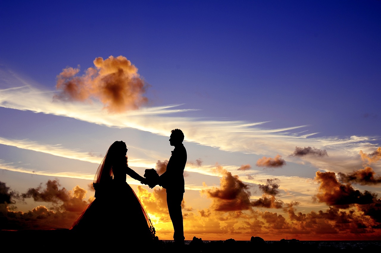 sunset, nature, wedding-698501.jpg